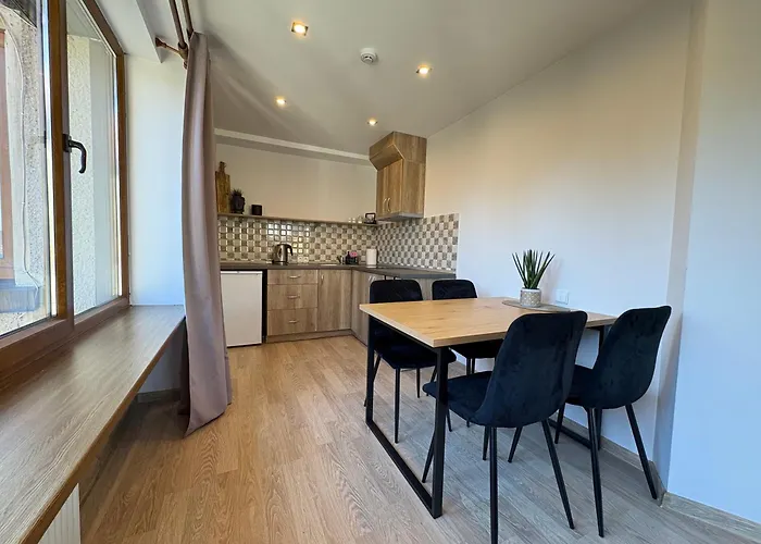 Apartman Stylish & Sunny - Near Concert Hall - No 21 Palanga