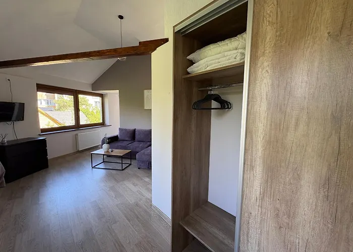 Apartman Stylish & Sunny - Near Concert Hall - No 21 Palanga