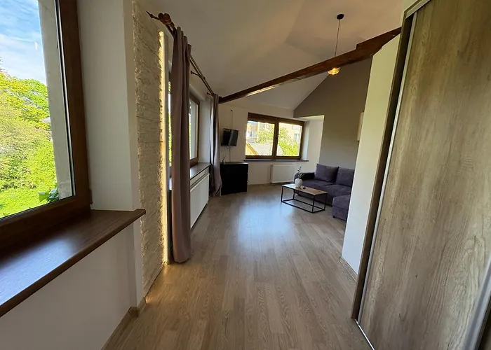 Stylish & Sunny - Near Concert Hall - No 21 Apartman Palanga